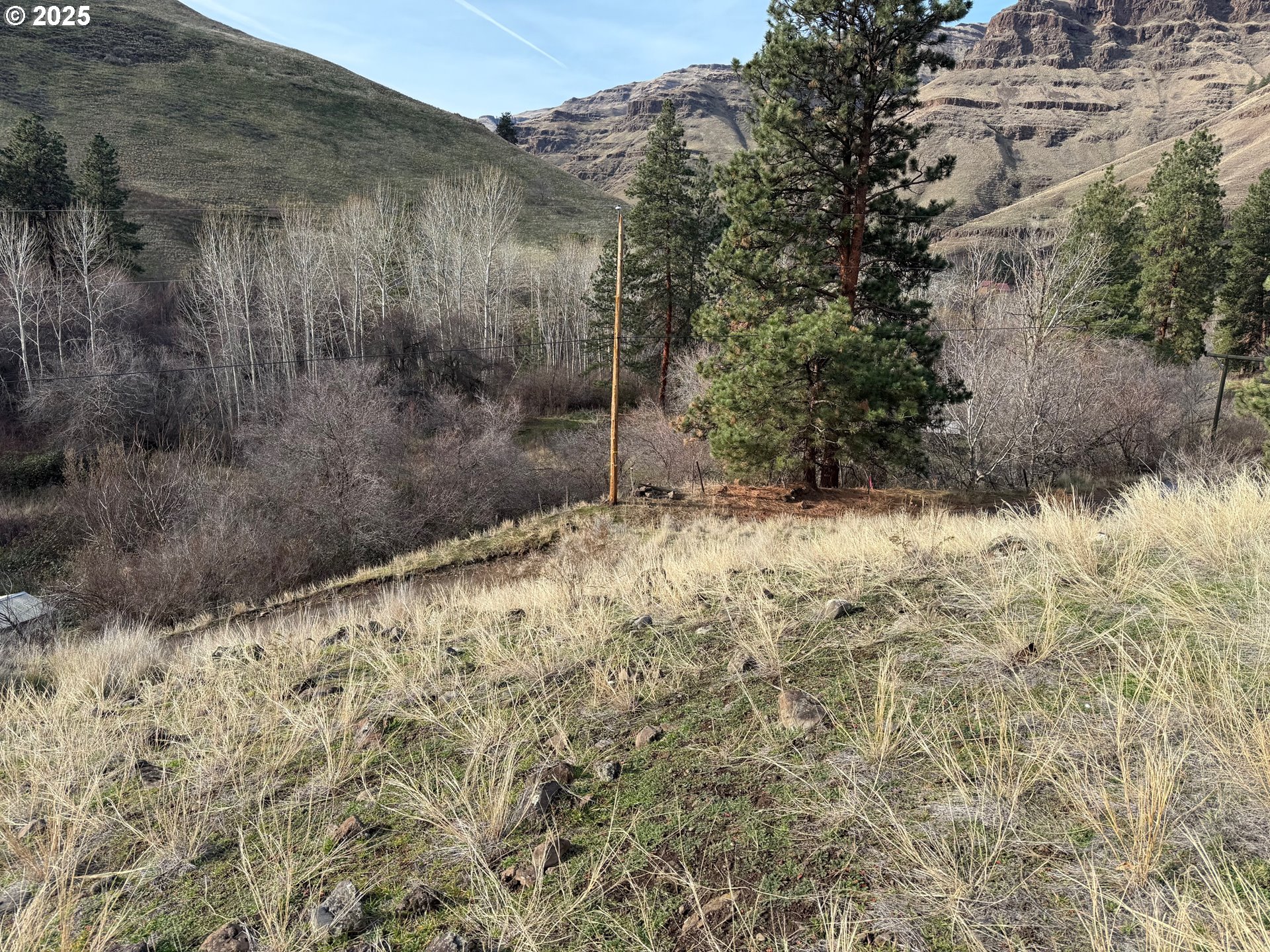 0 Big Sheep Creek Road Imnaha, OR 97842 - Photo 9 of 10