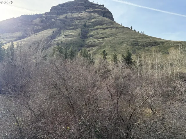 $395,000 | 0 Big Sheep Creek Road, Imnaha, OR 97842
