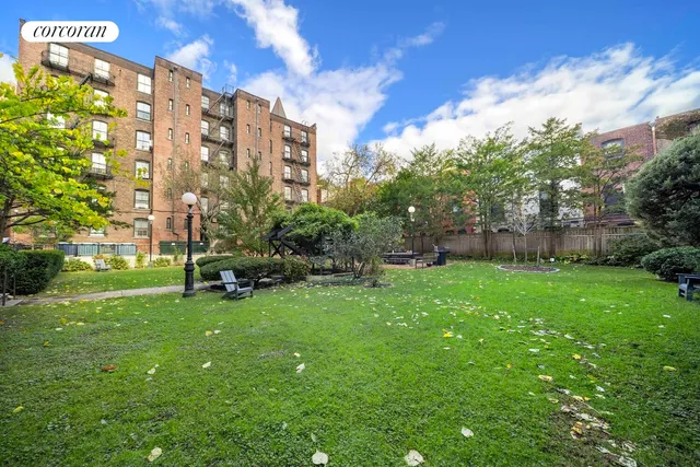 a view of a garden with plants and large trees