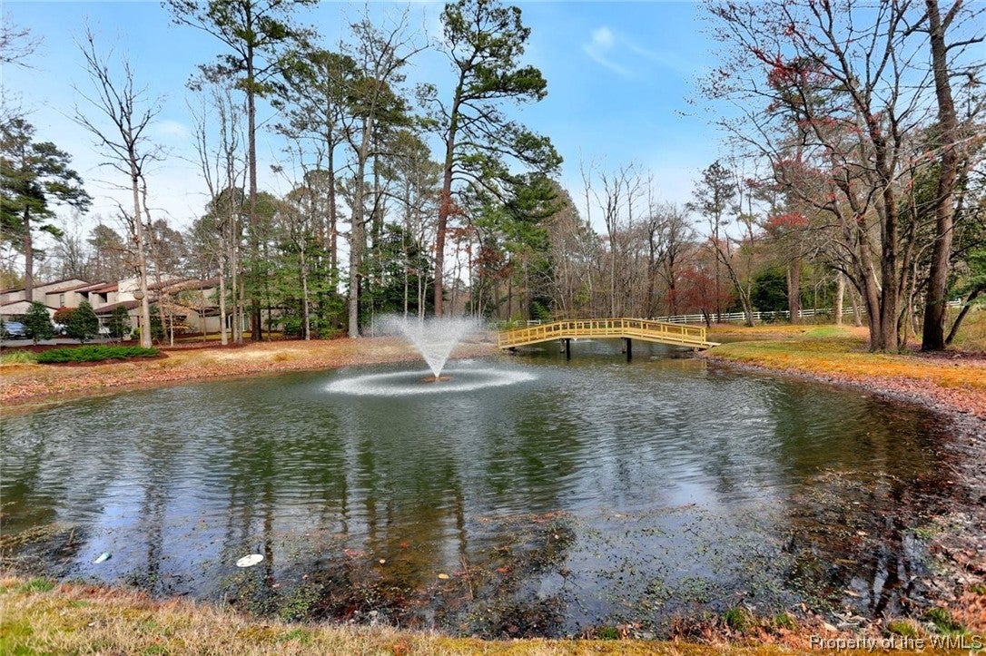 846 Vail Ridge Williamsburg, VA 23188 - Photo 32 of 39 Gallery Image 32