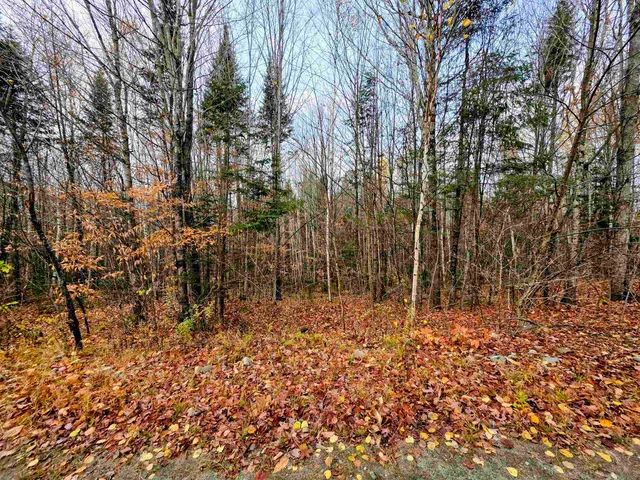 $298,000 | Washburn Road, North Stratford, NH 03590