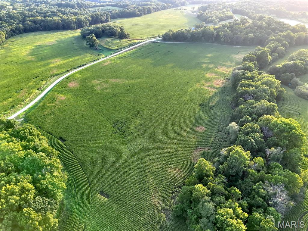 0 Tickridge Road Elsberry, MO 63343 - Photo 8 of 15 Gallery Image 8