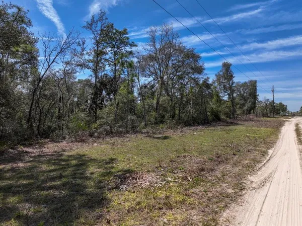 $9,900 | Northeast 65th Street, Williston, FL 32696