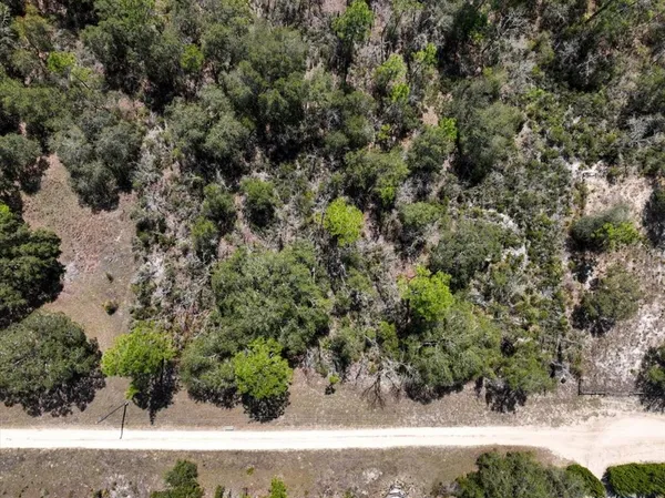 $9,900 | Northeast 65th Street, Williston, FL 32696