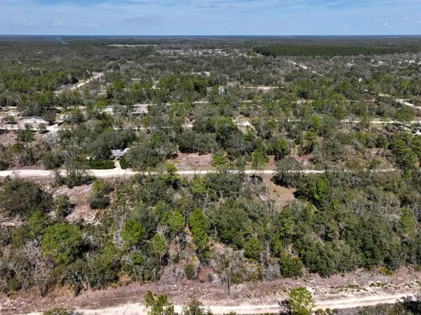 $9,900 | Northeast 65th Street, Williston, FL 32696
