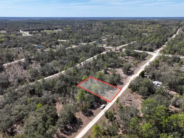 $9,900 | Northeast 65th Street, Williston, FL 32696