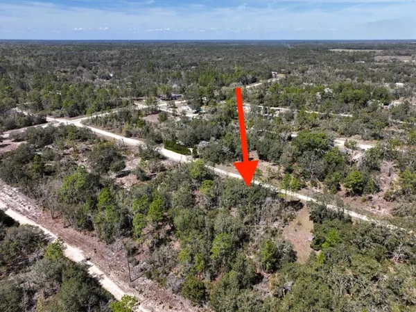 $9,900 | Northeast 65th Street, Williston, FL 32696