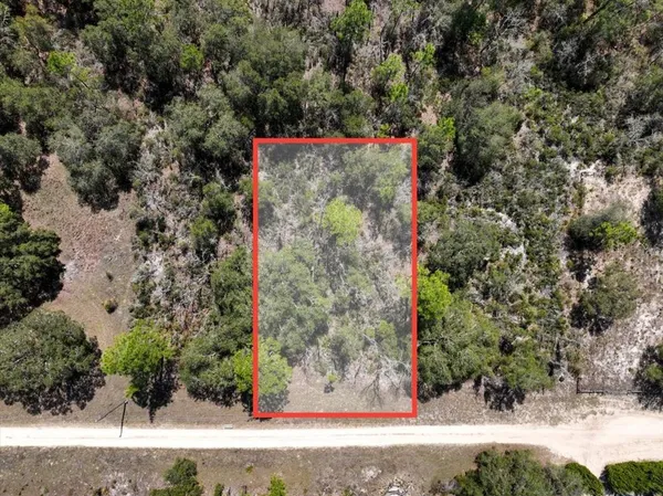 $9,900 | Northeast 65th Street, Williston, FL 32696