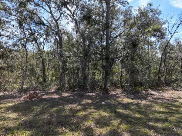 $9,900 | Northeast 65th Street, Williston, FL 32696