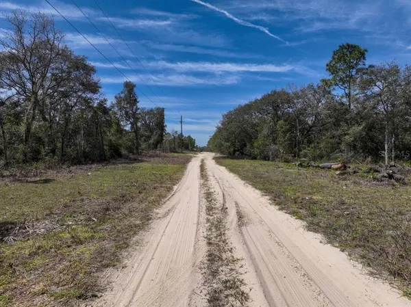 $9,900 | Northeast 65th Street, Williston, FL 32696