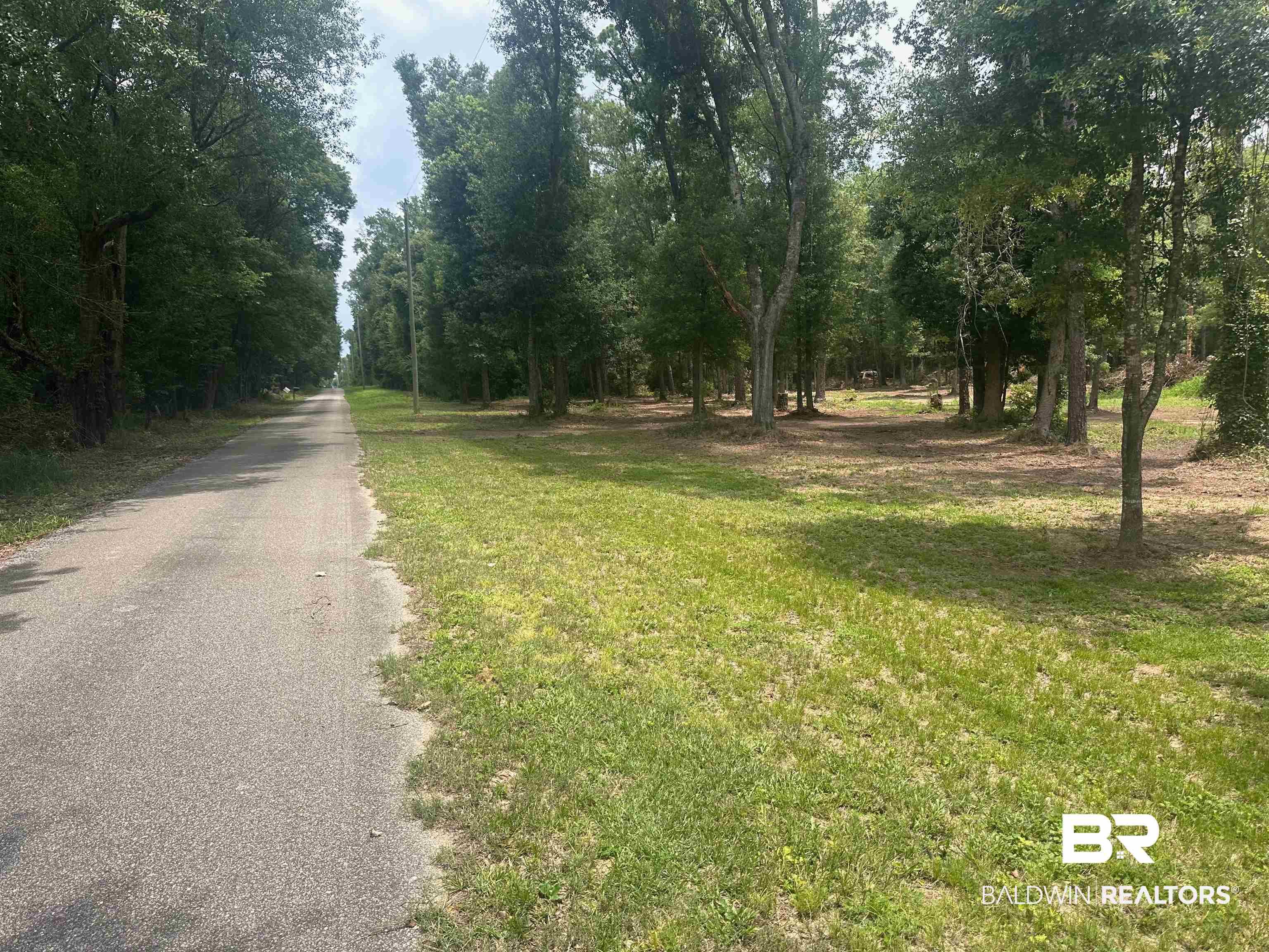 23040 Forland Road Silverhill, AL 36576 - Photo 2 of 13 View of street