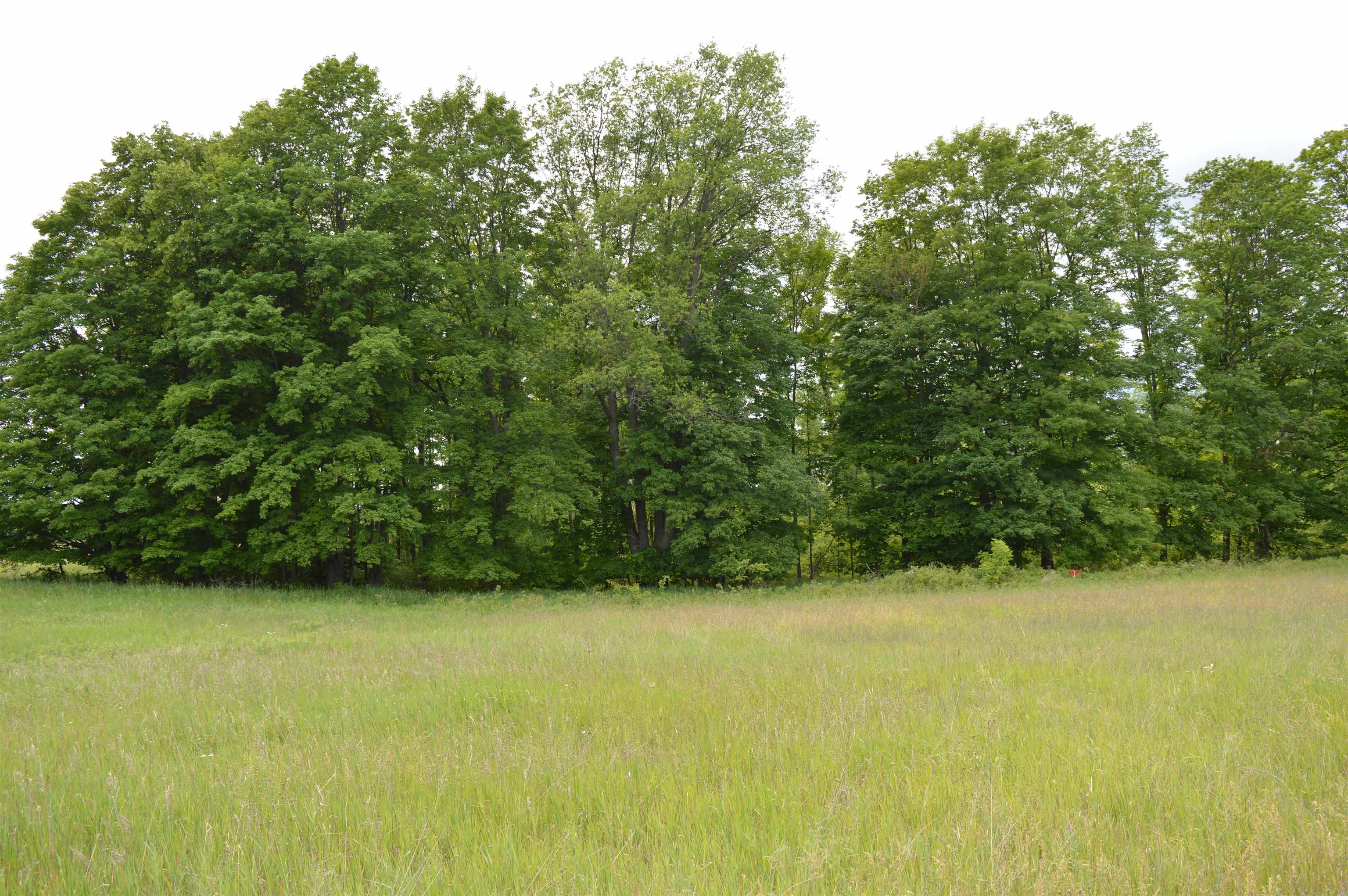 M Summit City Road, Unit LOT: M Kingsley, MI 49649 - Photo 8 of 20
