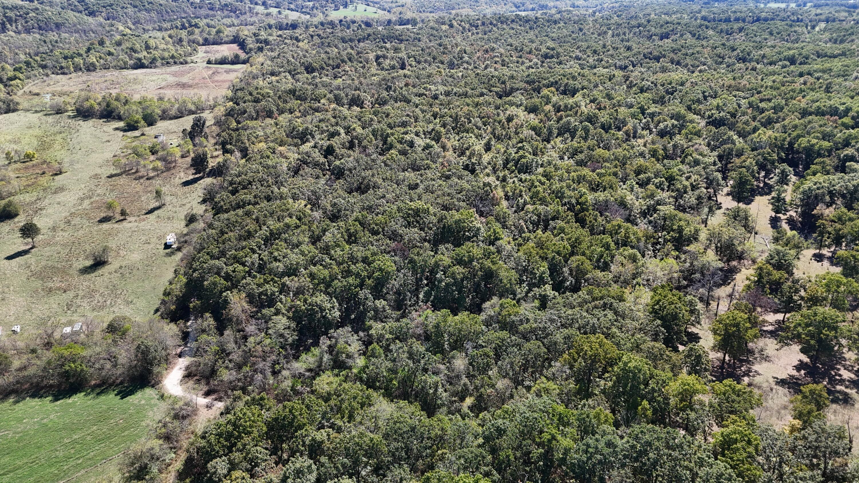0 Grapevine Road Marshfield, MO 65706 - Photo 1 of 13 DJI_20251008131315_0544_D