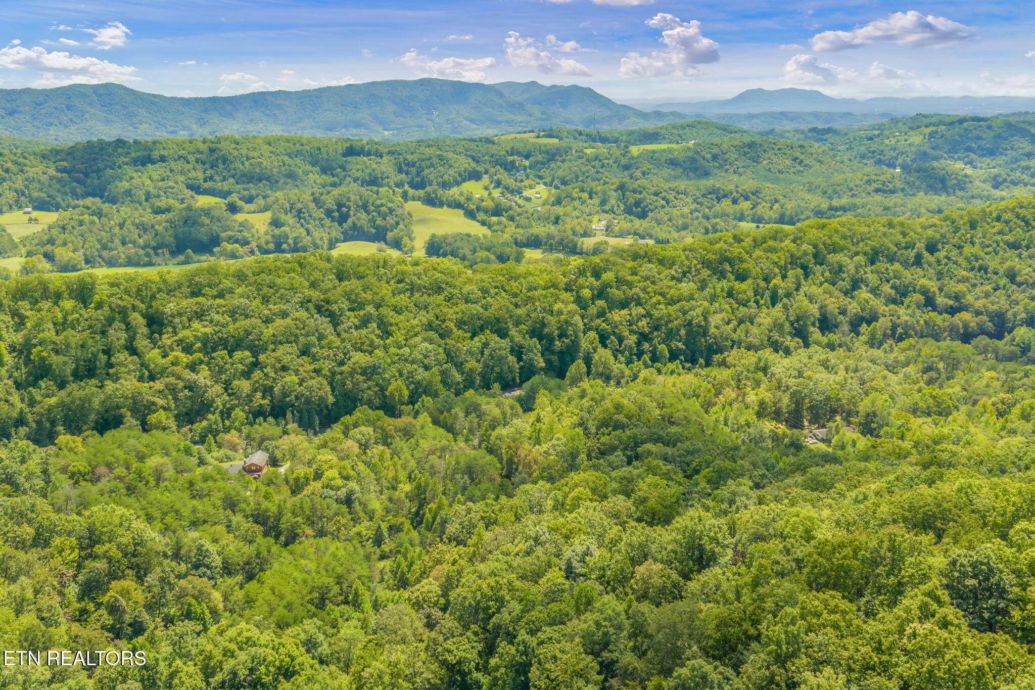 0 Texas Hollow Road Luttrell, TN 37779 - Photo 11 of 25 a view of a city with lush green forest