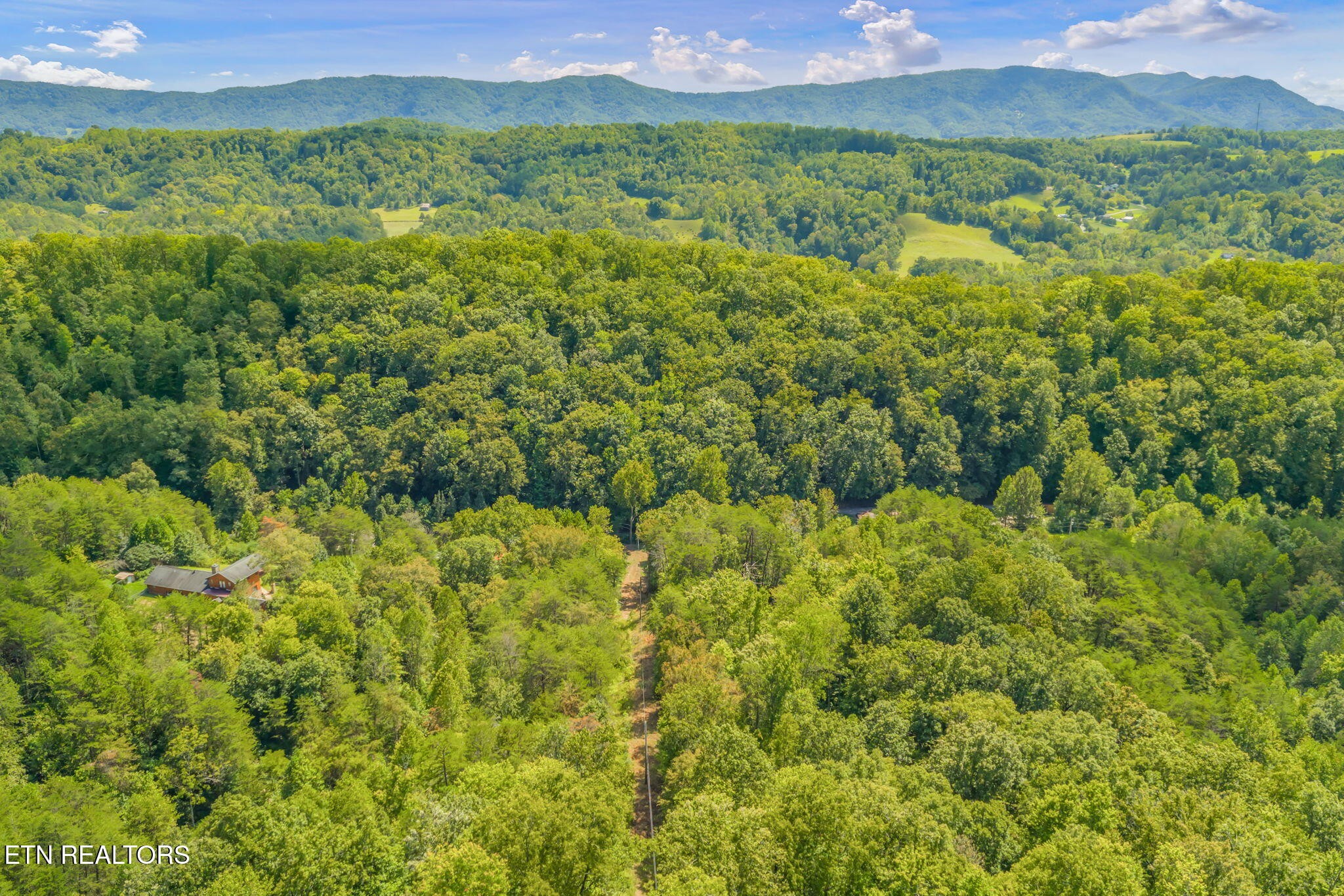 0 Texas Hollow Road Luttrell, TN 37779 - Photo 13 of 25 a view of a lush green forest with trees and some houses