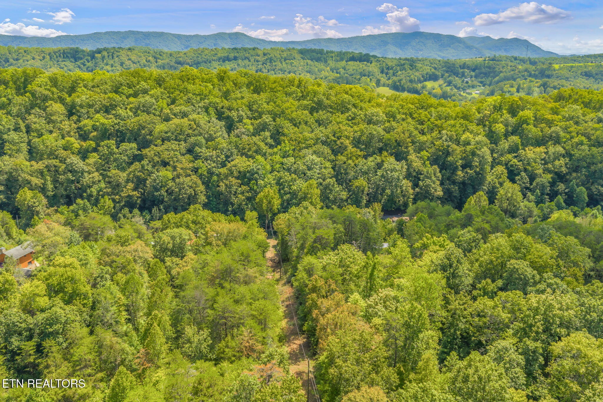 0 Texas Hollow Road Luttrell, TN 37779 - Photo 14 of 25 a view of a lush green field with a mountain in the background