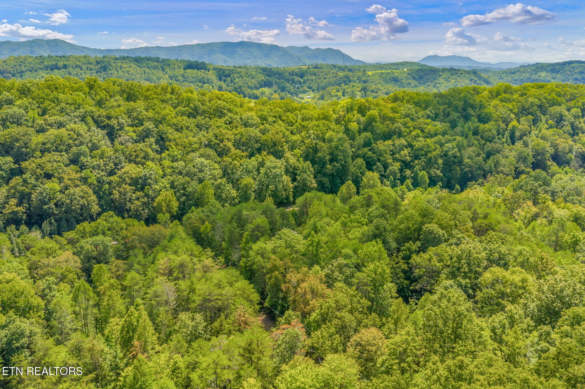 0 Texas Hollow Road Luttrell, TN 37779 - Photo 15 of 25 a view of a lush green field