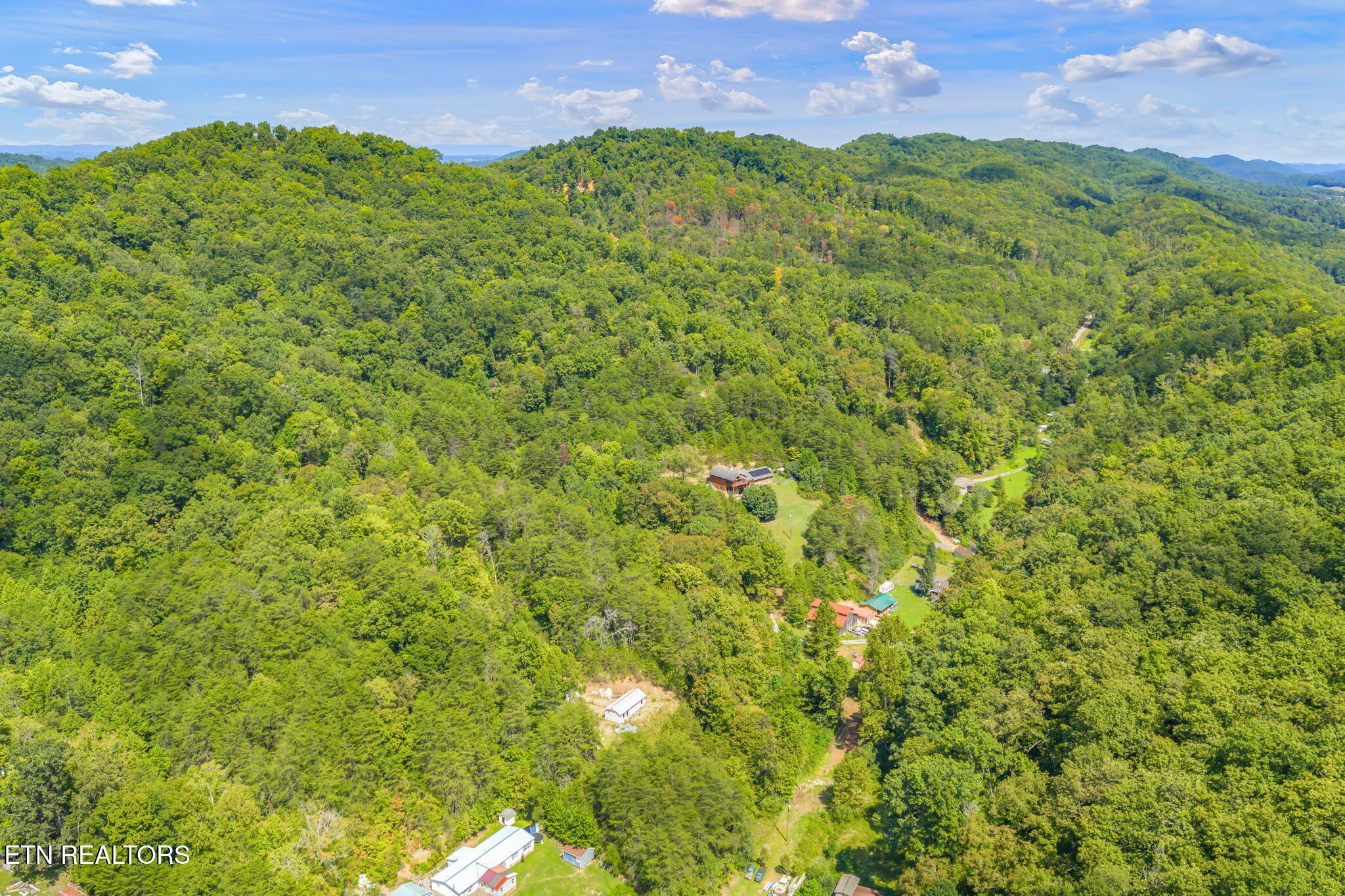 0 Texas Hollow Road Luttrell, TN 37779 - Photo 2 of 25 a view of a lush green outdoor space with a lake view