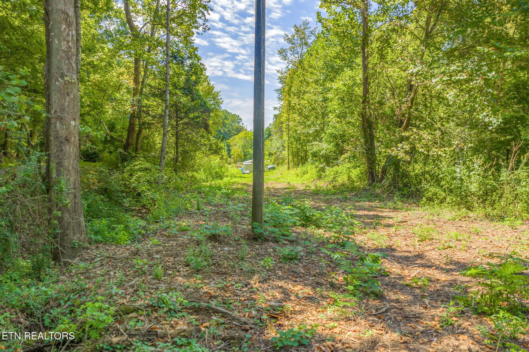 0 Texas Hollow Road Luttrell, TN 37779 - Photo 21 of 25 a view of a yard with lots of trees