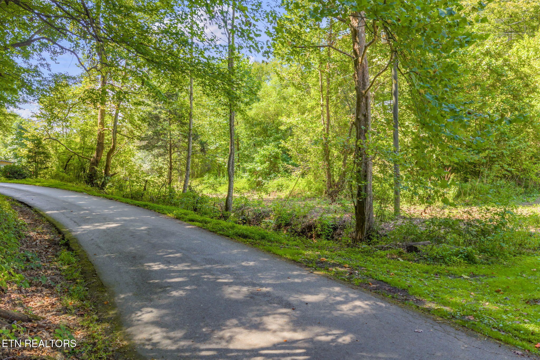 0 Texas Hollow Road Luttrell, TN 37779 - Photo 22 of 25 a view of a yard with plants and large trees