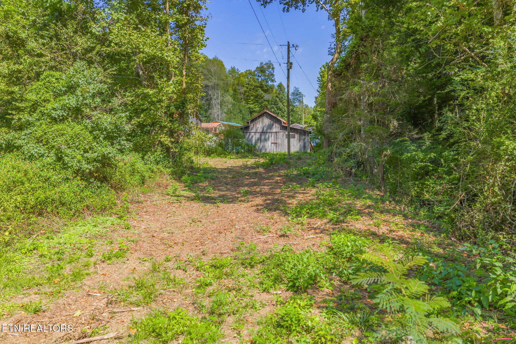 0 Texas Hollow Road Luttrell, TN 37779 - Photo 24 of 25 a view of a yard in front of a house with large tree