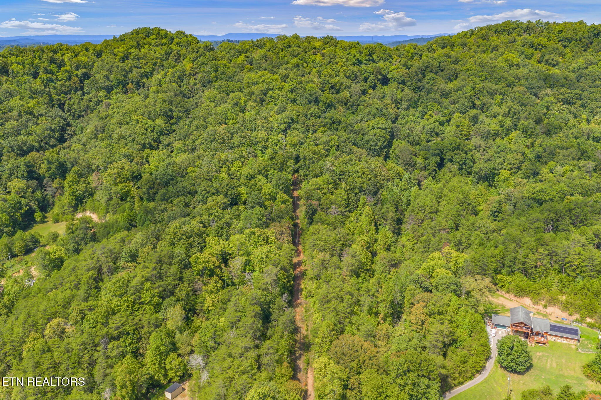 0 Texas Hollow Road Luttrell, TN 37779 - Photo 5 of 25 a view of a big yard with lots of bushes