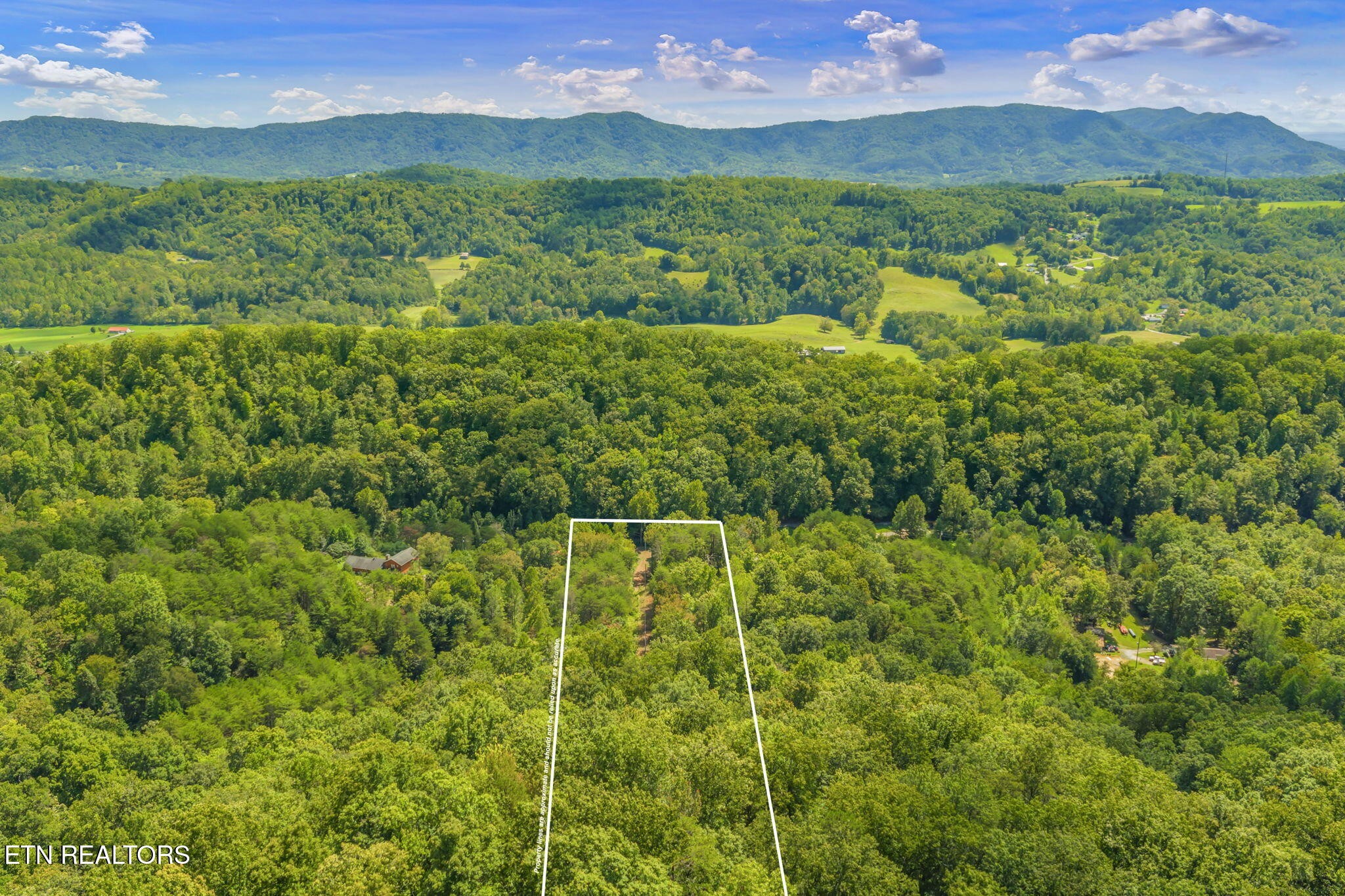 0 Texas Hollow Road Luttrell, TN 37779 - Photo 9 of 25 a view of a city with lush green forest