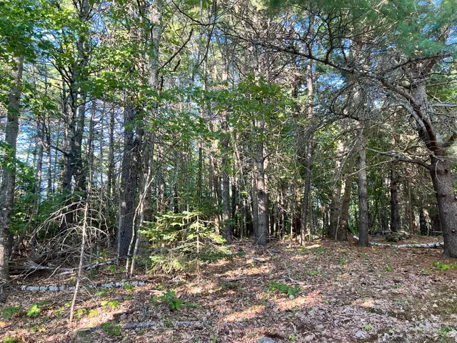 $317,222 | 1068 Main Road, Eddington, ME 04428
