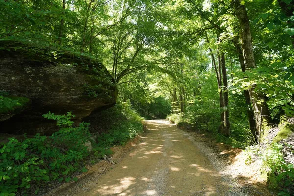 $3,480,000 | 450 Lowe Branch Road, Centerville, TN 37033