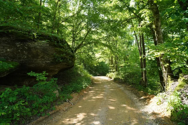 $3,480,000 | 450 Lowe Branch Road, Centerville, TN 37033