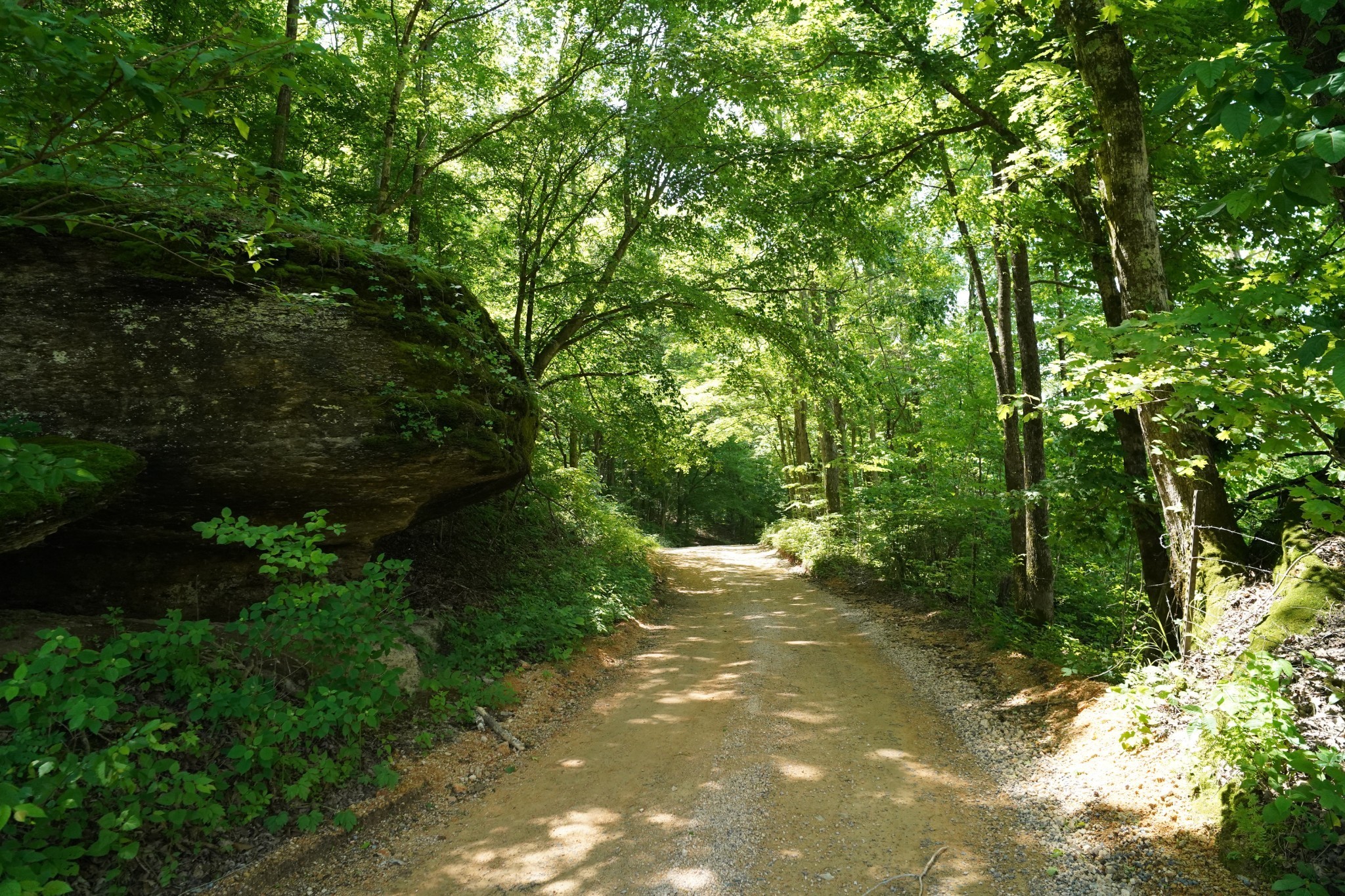 450 Lowe Branch Road Centerville, TN 37033 - Photo 90 of 100