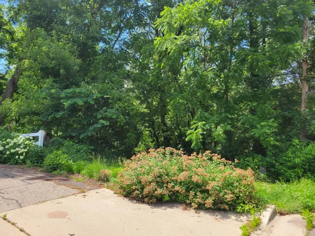 $119,900 | 0 Peschel Street, Waterloo, WI 53594