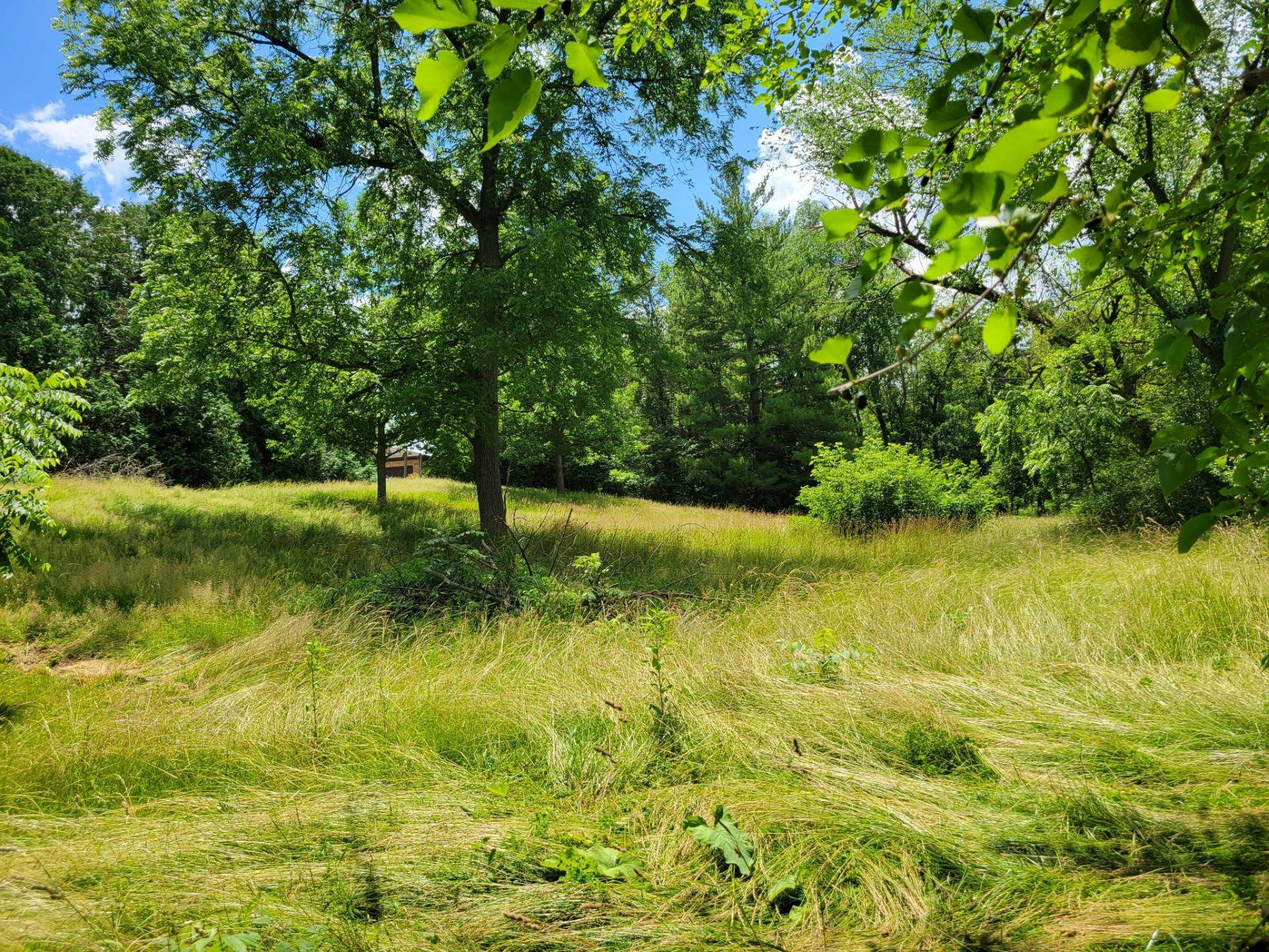 0 Peschel Street Waterloo, WI 53594 - Photo 4 of 8