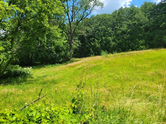 $119,900 | 0 Peschel Street, Waterloo, WI 53594