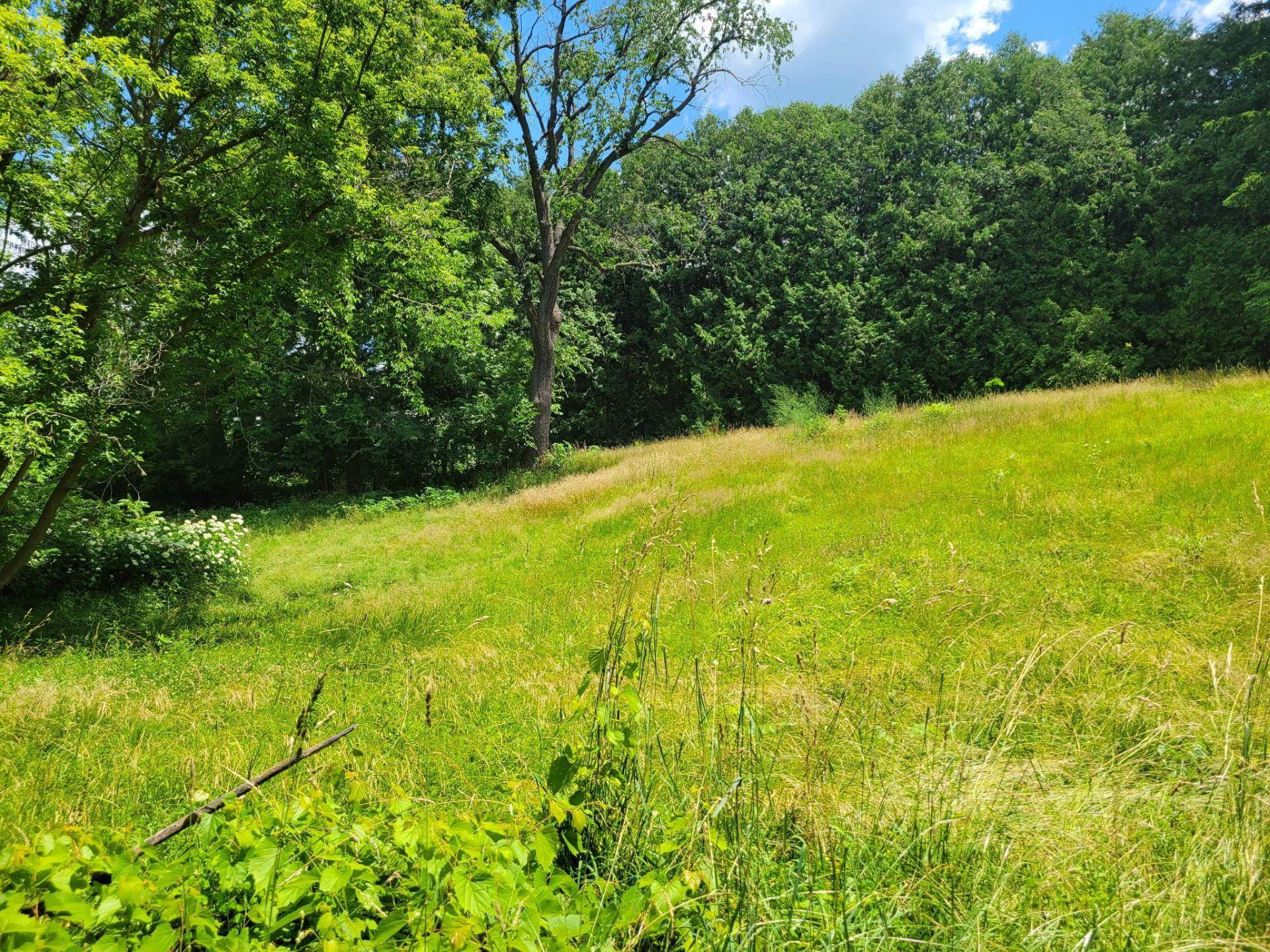 0 Peschel Street Waterloo, WI 53594 - Photo 5 of 8