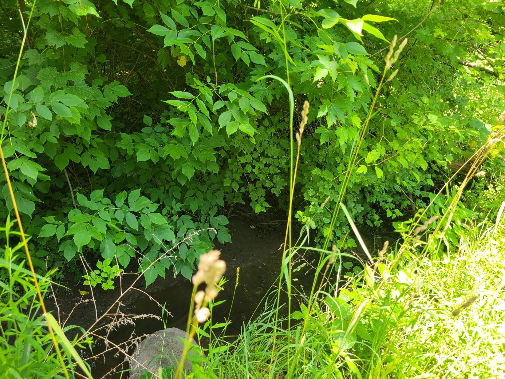 0 Peschel Street Waterloo, WI 53594 - Photo 6 of 8