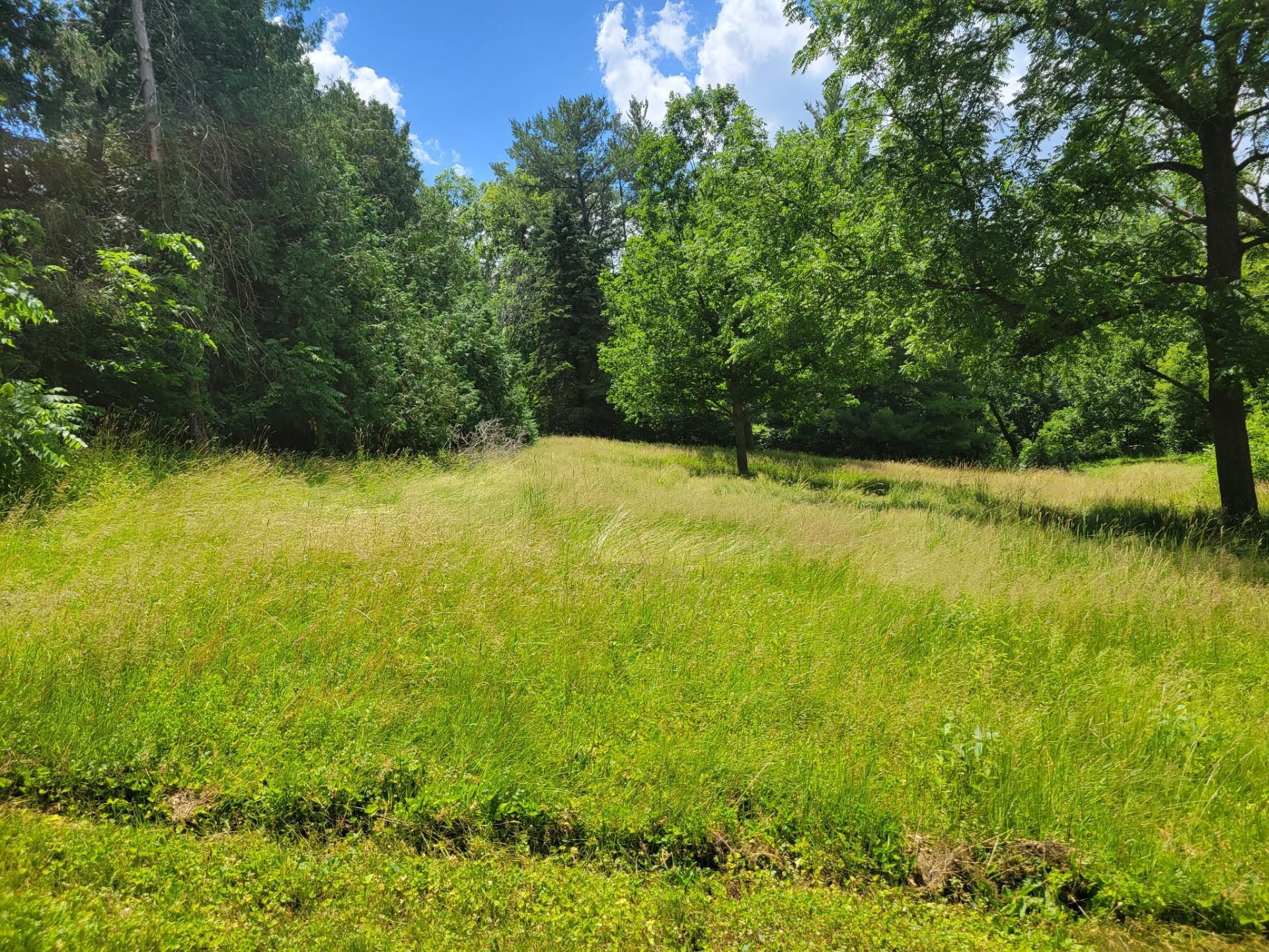 0 Peschel Street Waterloo, WI 53594 - Photo 7 of 8