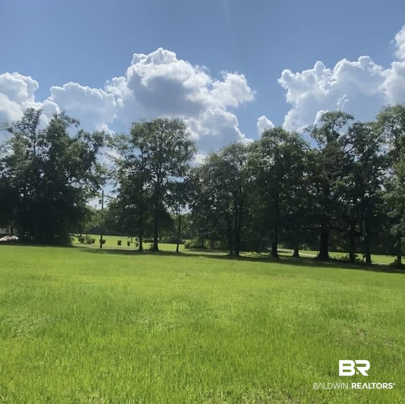 825 William Avenue Axis, AL 36505 - Photo 1 of 5