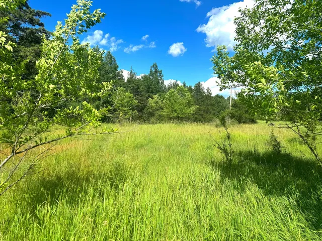 $54,900 | Parcel C Parcel C 24th Ave Pine River Southwest, Backus, MN 56435
