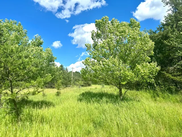 $54,900 | Parcel C Parcel C 24th Ave Pine River Southwest, Backus, MN 56435