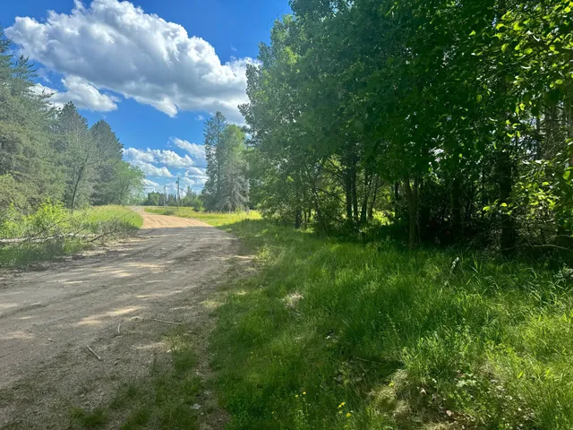$54,900 | Parcel C Parcel C 24th Ave Pine River Southwest, Backus, MN 56435