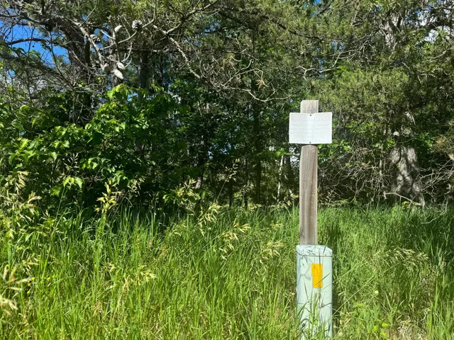 $54,900 | Parcel C Parcel C 24th Ave Pine River Southwest, Backus, MN 56435