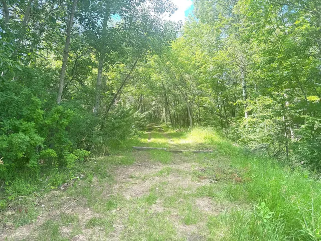 $54,900 | Parcel C Parcel C 24th Ave Pine River Southwest, Backus, MN 56435
