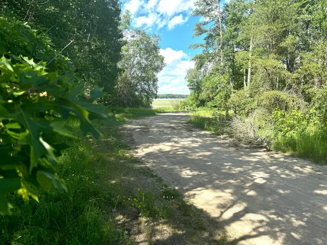 $54,900 | Parcel C Parcel C 24th Ave Pine River Southwest, Backus, MN 56435