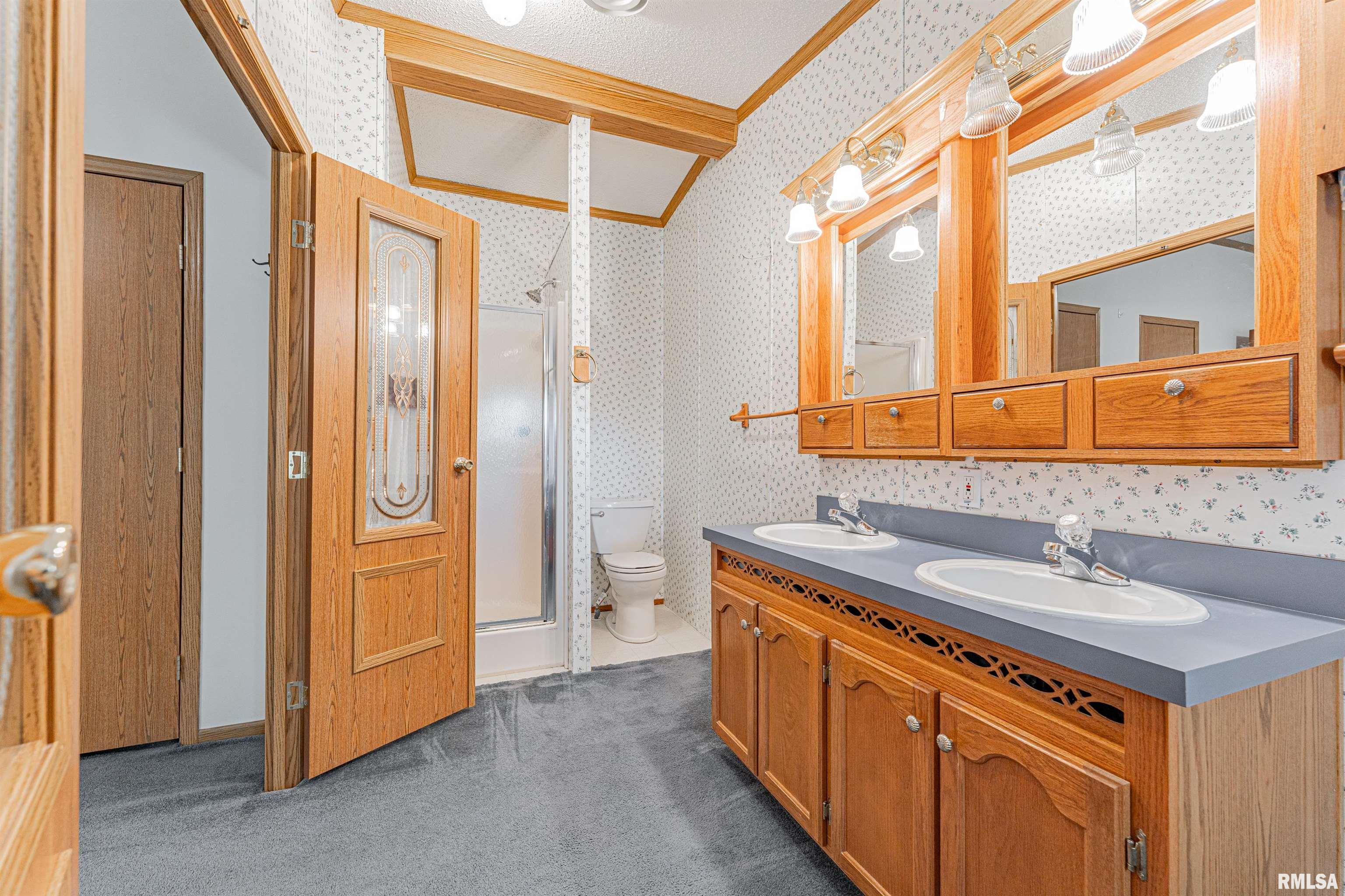 8363 Carl Springs Road Wapella, IL 61777 - Photo 19 of 30