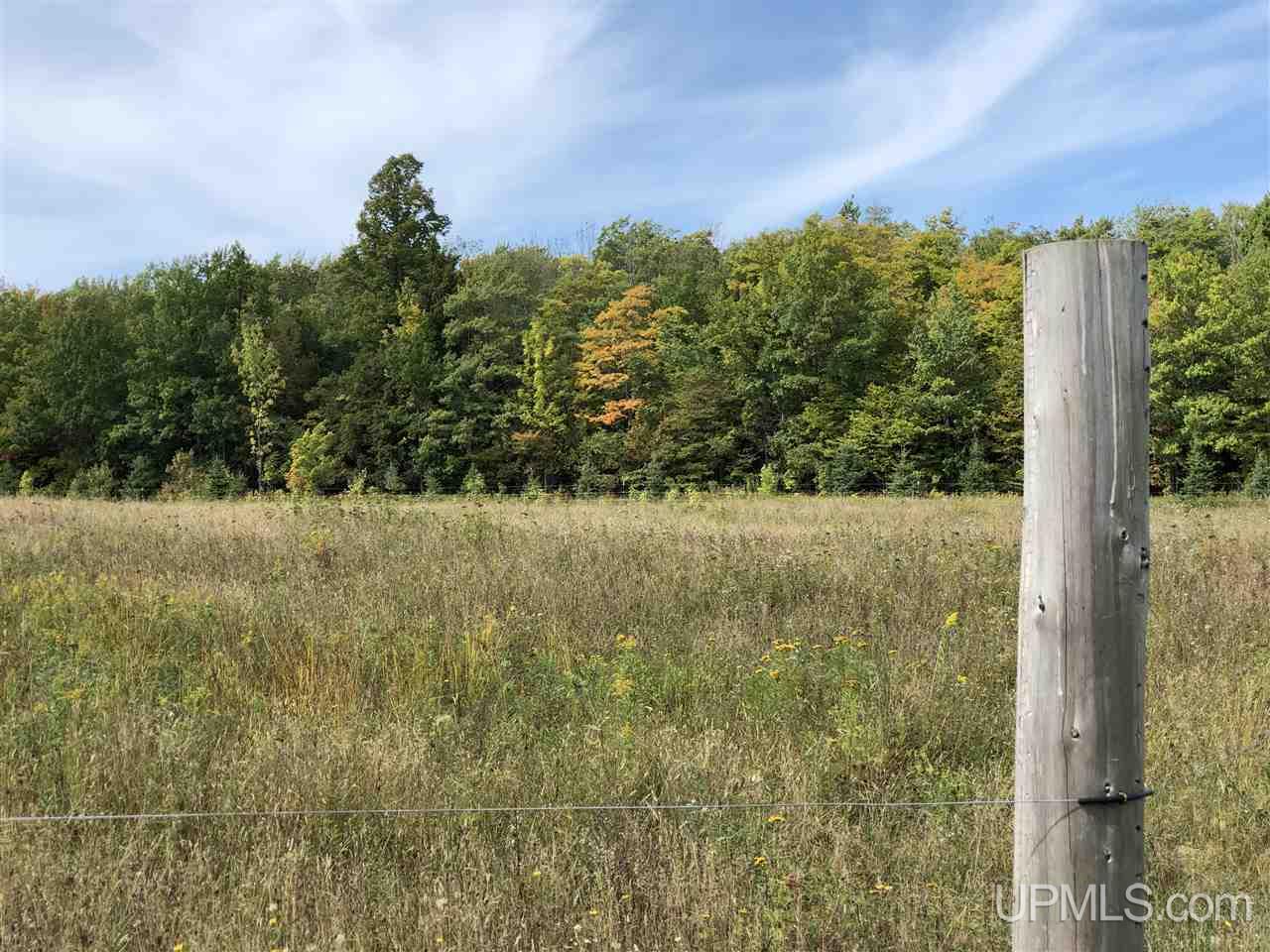 30970 Tapiola Road Pelkie, MI 49958 - Photo 42 of 49 Gallery Image 42