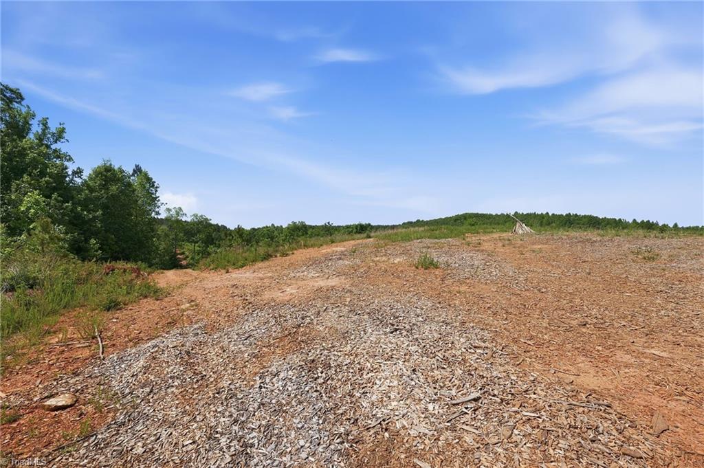 Lot#6 Skeen View Road Asheboro, NC 27205 - Photo 2 of 16