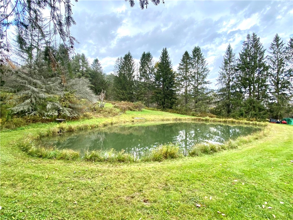 1043 County Highway Otego, NY 13825 - Photo 3 of 46