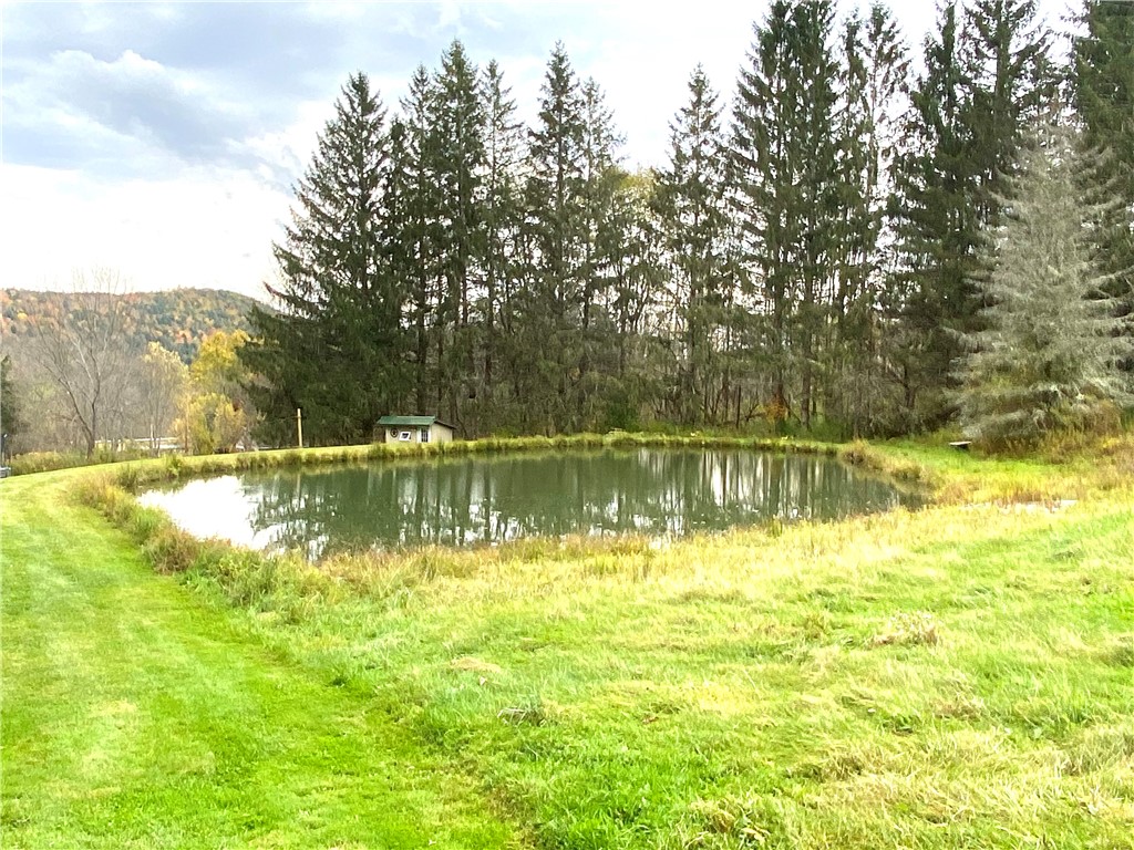 1043 County Highway Otego, NY 13825 - Photo 38 of 46