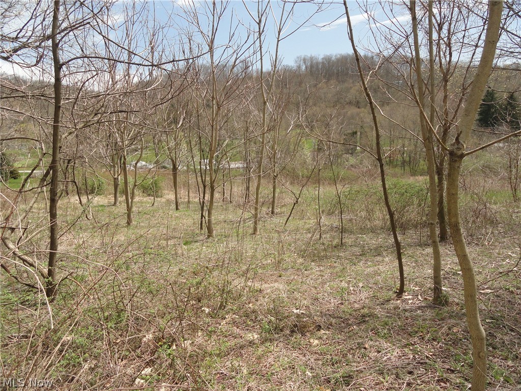 Johnsonville Road Chester, WV 26034 - Photo 6 of 20 Gallery Image 6